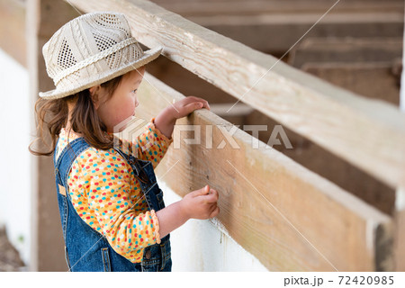 何かを見つめる女の子の写真素材