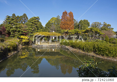 秋の浅野公園 72421060