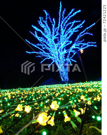 なばなの里イルミネーション 72421225