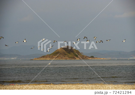 海 黄海 多数 72421294