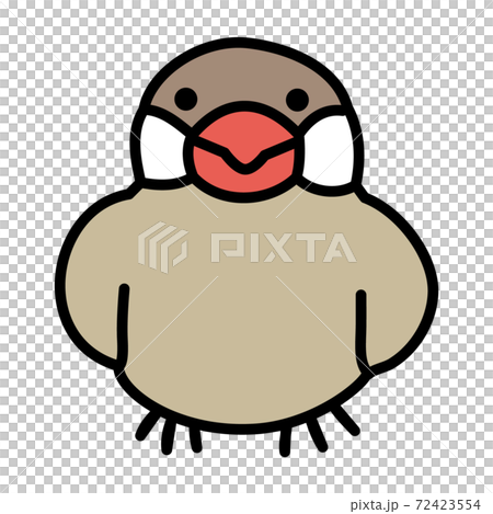 シナモン文鳥のイラスト素材