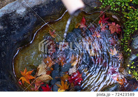 鹿威しと紅葉 鹿威しと紅葉 72423589
