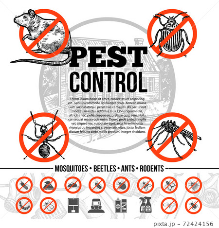 Pest Control Infographics 72424156