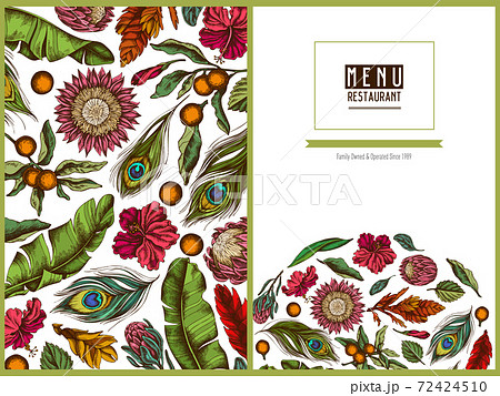 Menu cover floral design with colored banana palm leaves, hibiscus, solanum, bromeliad, peacock 72424510