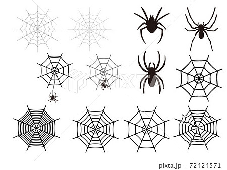 蜘蛛の巣のイラストのイラスト素材