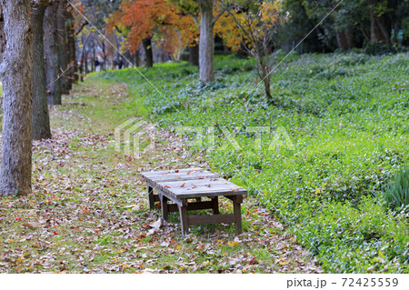 長居植物園 紅葉と秋の花々 長居植物園 紅葉と秋の花々 72425559