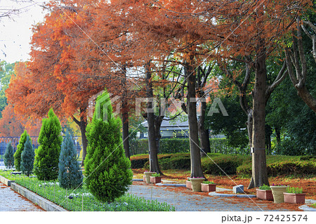 長居植物園　紅葉と秋の花々 72425574
