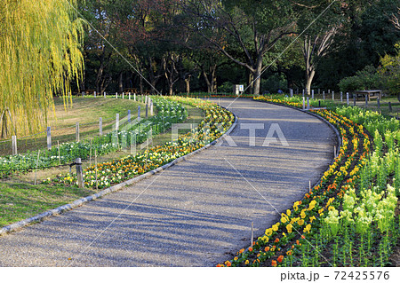 長居植物園 紅葉と秋の花々の写真素材