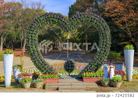 長居植物園 紅葉と秋の花々 長居植物園 紅葉と秋の花々 72425582