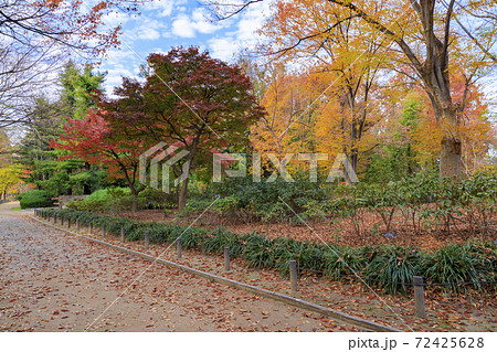 長居植物園　紅葉と秋の花々 72425628