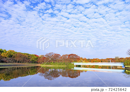 長居植物園　紅葉と秋の花々 72425642