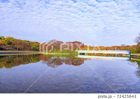 長居植物園 紅葉と秋の花々 長居植物園 紅葉と秋の花々 72425643