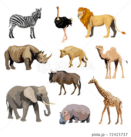 Wild African Animals Set 72425737