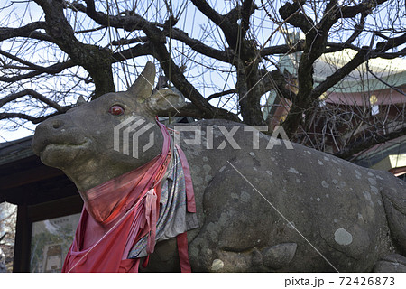 撫牛 北野天満宮 撫牛 北野天満宮 72426873