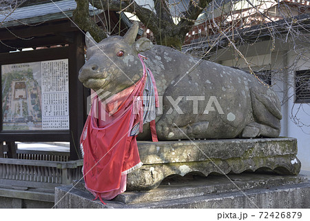 撫牛 北野天満宮 撫牛 北野天満宮 72426879