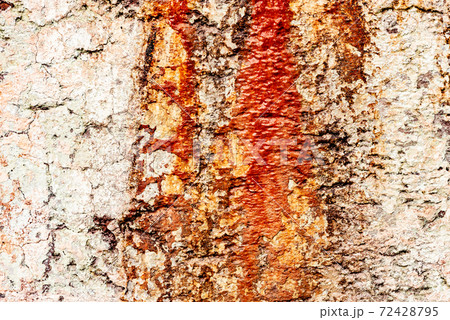 Texture of a concrete wall with cracks and scratches which can be used as a background Texture of a concrete wall with cracks and scratches which can be used as a background 72428795