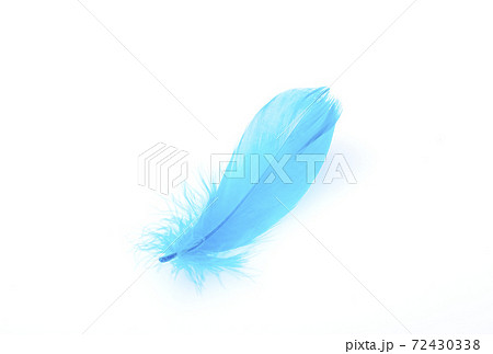 青い羽根 鳥の羽根 海難救助活動 イメージ素材の写真素材