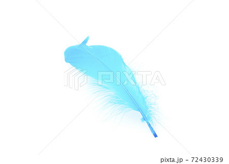 青い羽根 鳥の羽根 海難救助活動 イメージ素材 青い羽根 鳥の羽根 海難救助活動 イメージ素材 72430339