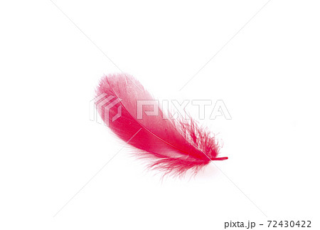 赤い羽根 鳥の羽根 社会福祉 共同募金 イメージ素材の写真素材