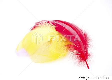 赤い羽根と黄色い羽根　鳥の羽根　社会福祉　共同募金　交通安全　イメージ素材 72430644