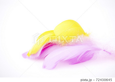 ピンクの羽根と黄色い羽根 きれいな鳥の羽根 社会福祉 共同募金 交通安全 イメージ素材 ピンクの羽根と黄色い羽根 きれいな鳥の羽根 社会福祉 共同募金 交通安全 イメージ素材 72430645
