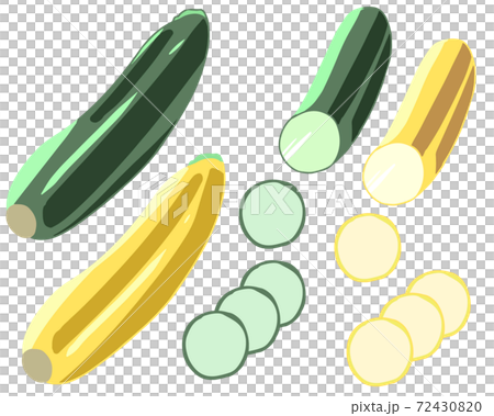 ズッキーニ 線無し のイラスト素材