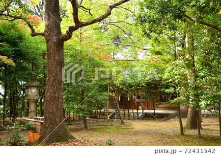 縣居神社 境内 縣居神社 境内 72431542