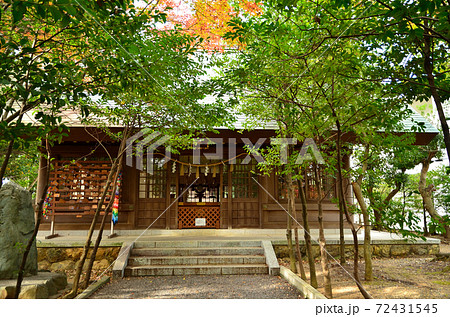 縣居神社 拝殿 縣居神社 拝殿 72431545