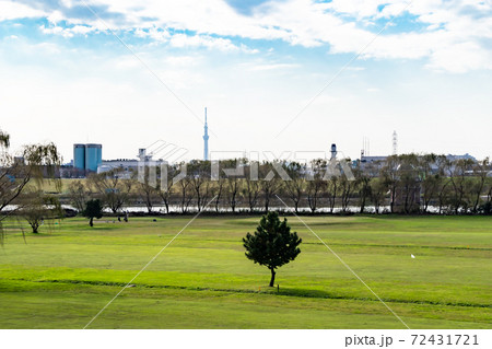 千葉県側から江戸川越しに見た東京方面の景色 72431721