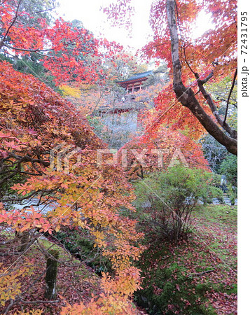 石川県　小松市　那谷寺 72431795