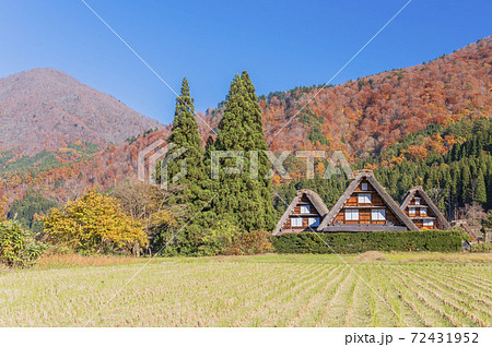 【世界遺産】岐阜県白川郷の合掌造り集落（秋イメージ） 72431952