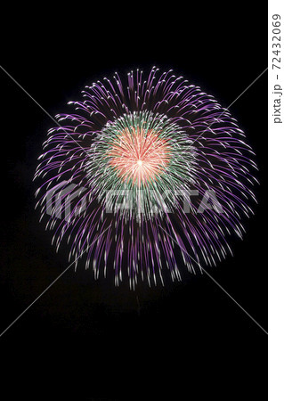 紫色の打ち上げ花火 72432069