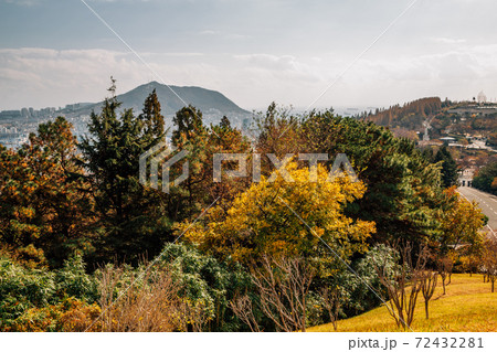 Autumn scenery of Jungang Park (Daecheong Park) in Busan, Korea 72432281