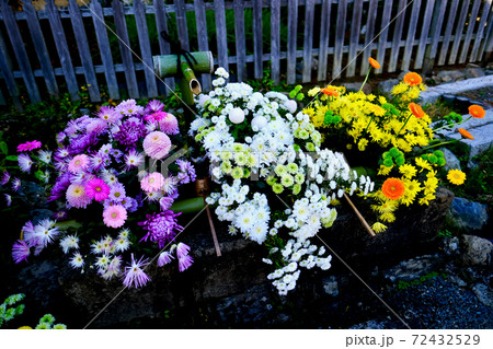 【京都】二尊院の花手水（秋） 72432529