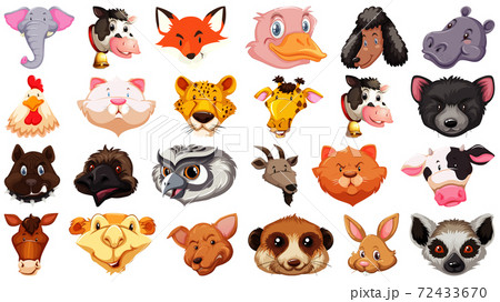 Set of different cute cartoon animals head huge isolated on white background Set of different cute cartoon animals head huge isolated on white background 72433670