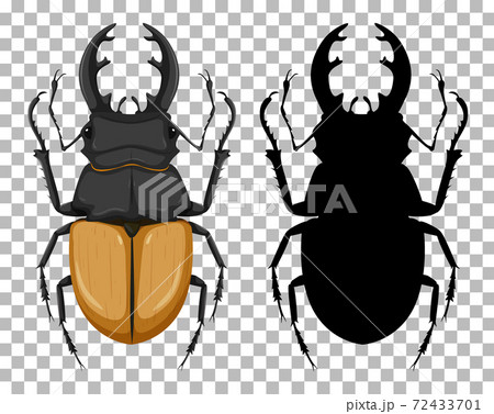 Odontolabis elegans with its silhouette isolated on transparent background Odontolabis elegans with its silhouette isolated on transparent background 72433701