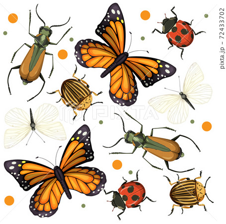 Set of different insects on white background 72433702