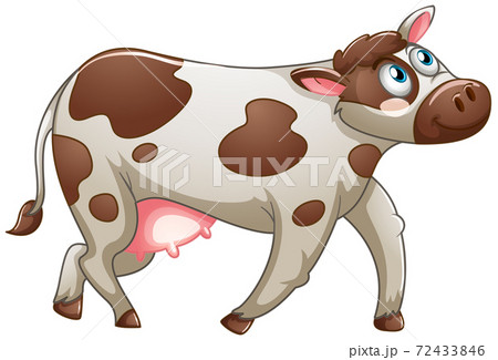 A Cow On White Backgroundのイラスト素材