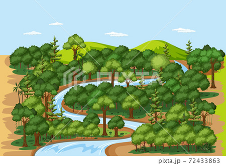 Forest nature landscape scene Forest nature landscape scene 72433863