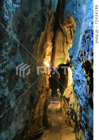 【岡山県】井倉洞 【岡山県】井倉洞 72434186