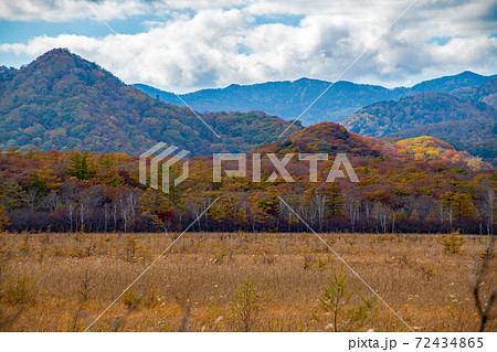 日光 国道120号沿い 戦場ヶ原 紅葉景色 秋景色 日光 国道120号沿い 戦場ヶ原 紅葉景色 秋景色 72434865