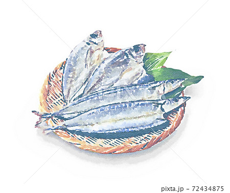 サンマとアジの開き　干物　水彩画風 72434875