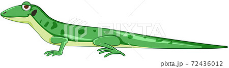 Gecko or lizard in green cartoon style isolated Gecko or lizard in green cartoon style isolated 72436012