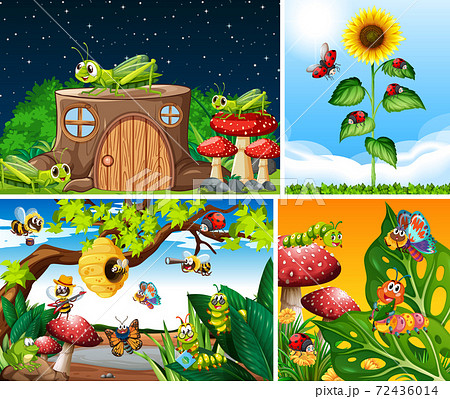 Set of different insects living in the garden Set of different insects living in the garden 72436014