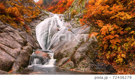 桃洞滝の秋 72436279