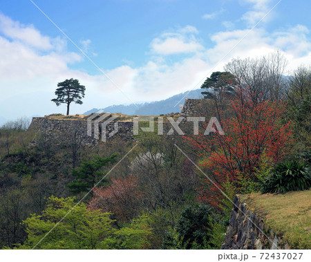 桜　竹田城 72437027