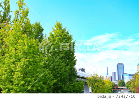 名古屋市、若宮大通から見たグローバルゲート高層ビル群の風景 名古屋市、若宮大通から見たグローバルゲート高層ビル群の風景 72437710