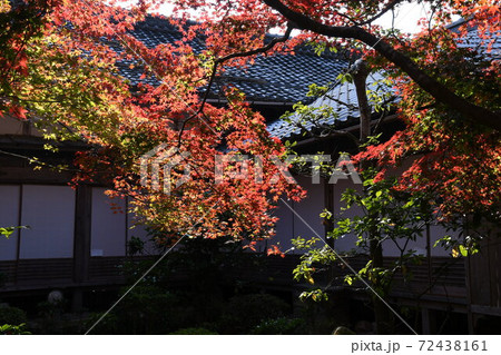 湖東三山 百済寺の秋 湖東三山 百済寺の秋 72438161