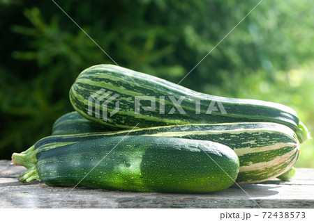 Harvest of zucchini, still life on natural garden background Harvest of zucchini, still life on natural garden background 72438573