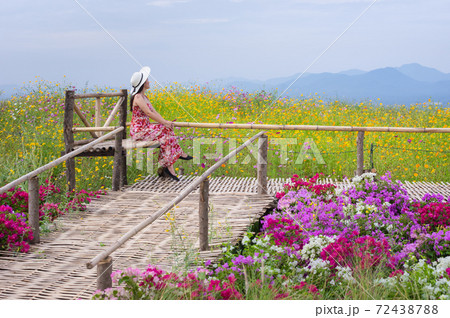 Beautiful woman in nature flower. 72438788